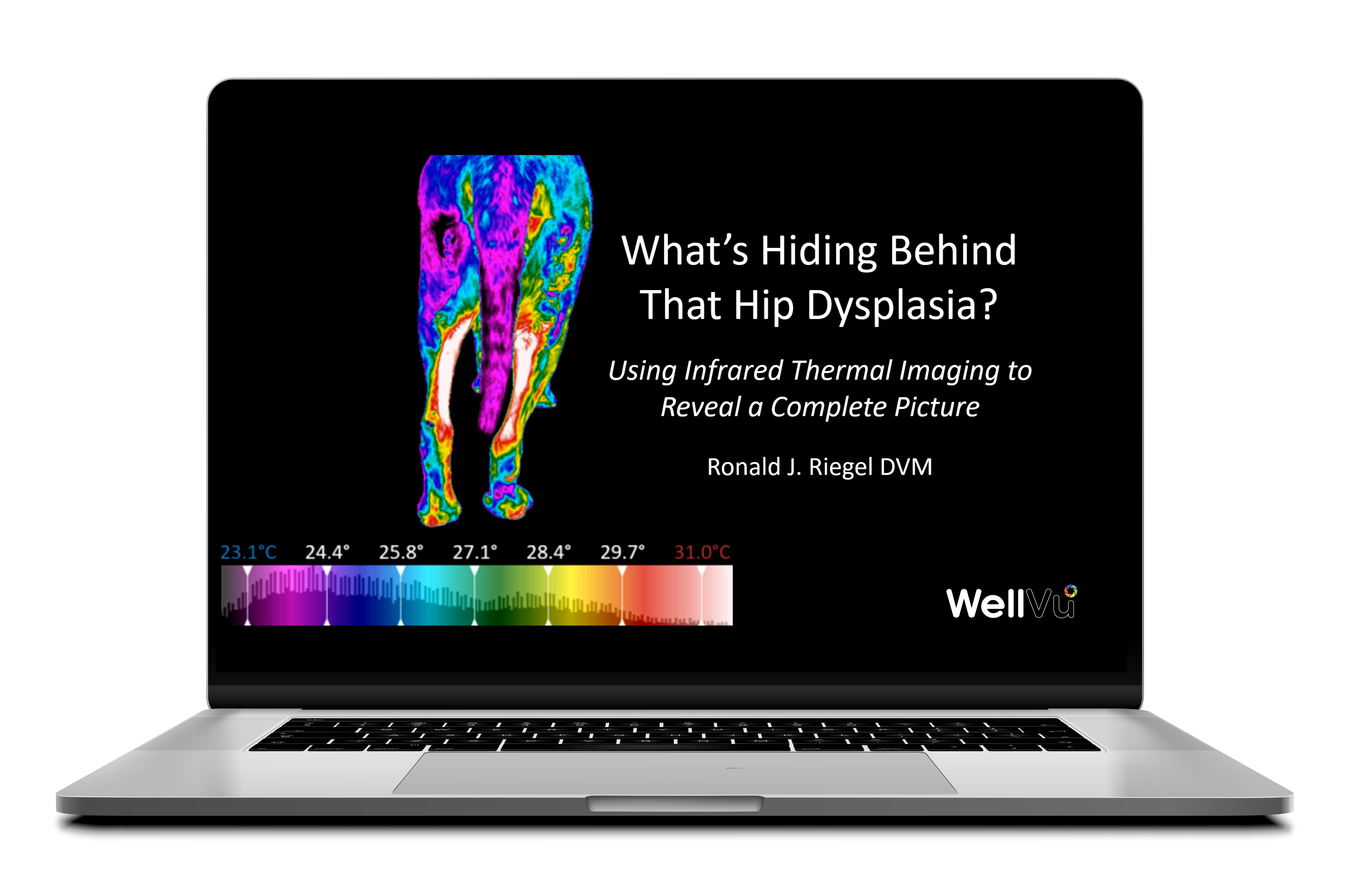 Whats Hiding Behind that Hip Dysplasia Webinar Thumbnail